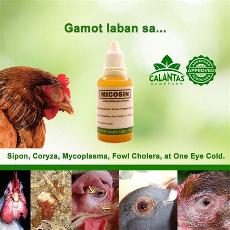 pinakamabisang gamot sa coryza